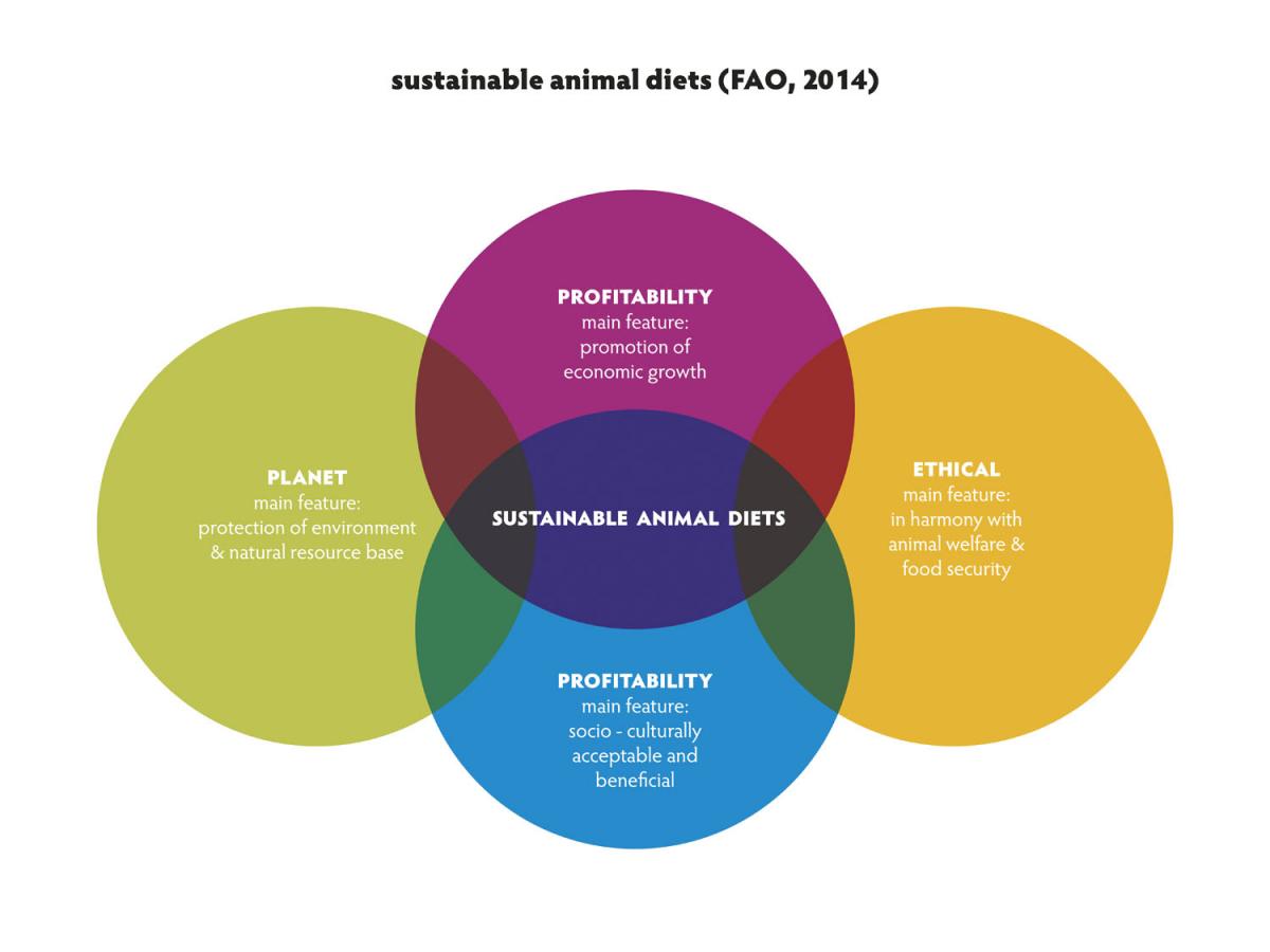 Sustainability in animal nutrition | Mazzoleni .